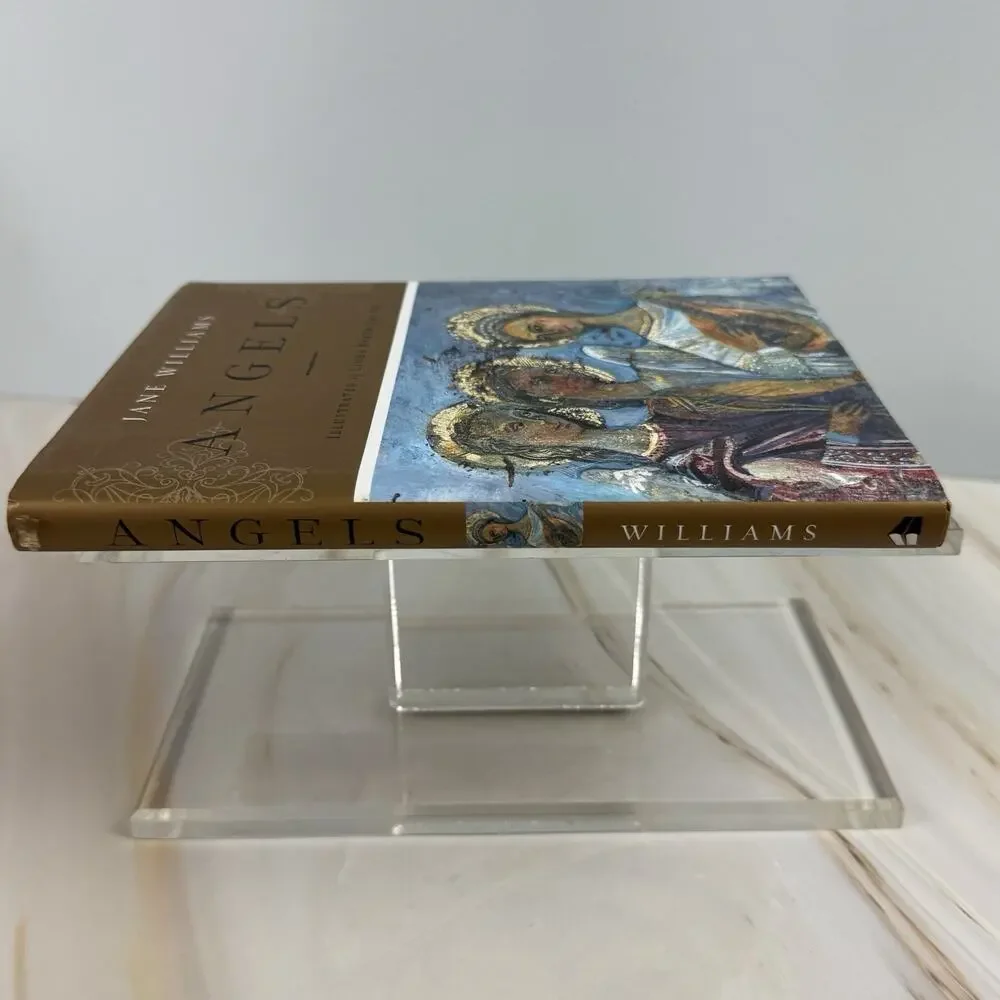 Angels Book Jane Williams Religious Spiritual 2007 Guardians Encounters‎ EUC